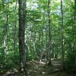 Fundy NP